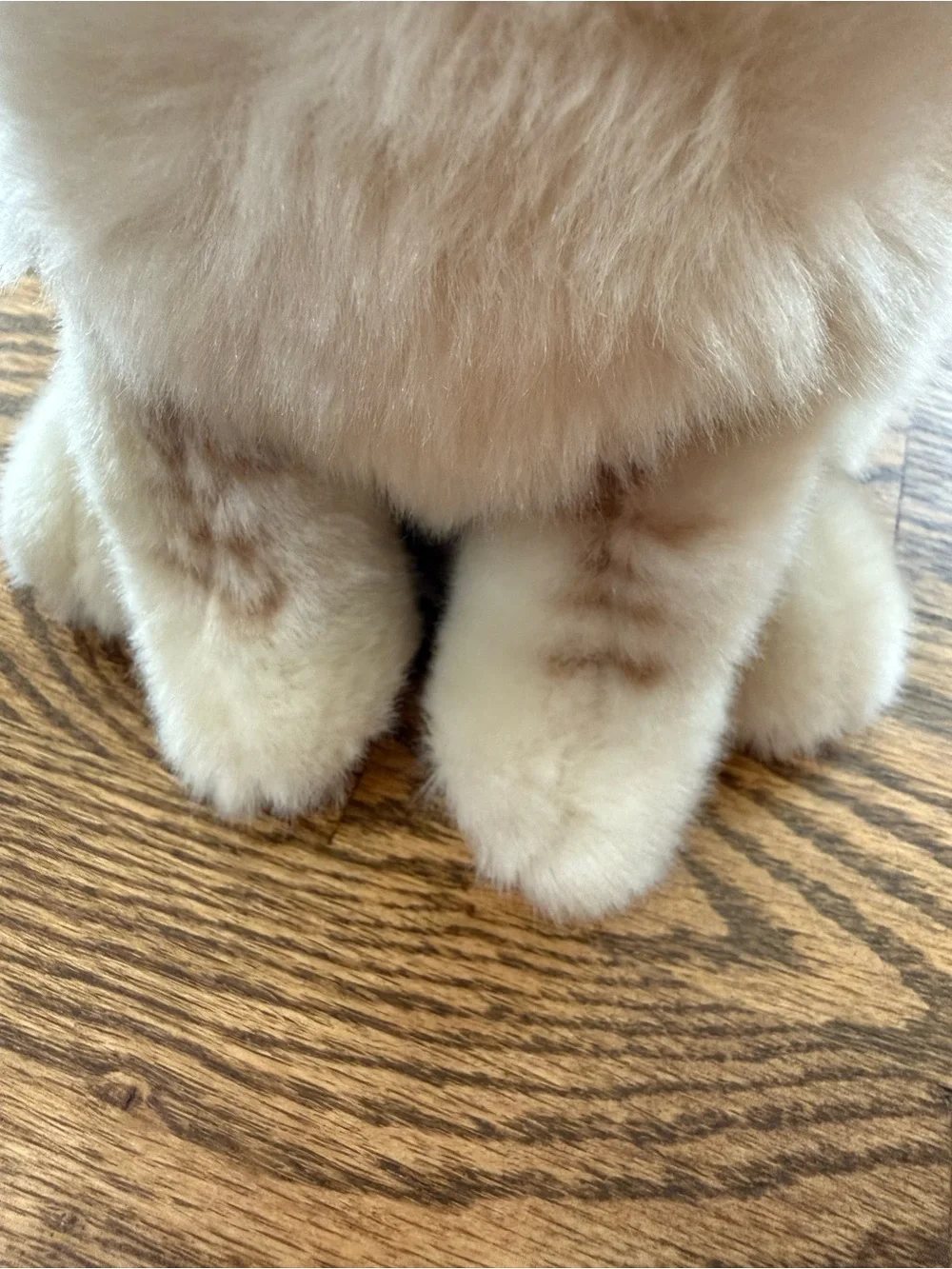 10” Plush Grumpy Cat by Gund